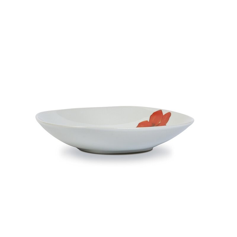 16 Piece Dinnerware Set Decal Ceramics