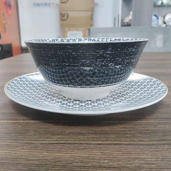 Ceramic Dinner Plates Dinnerware Set Dishes Luxury