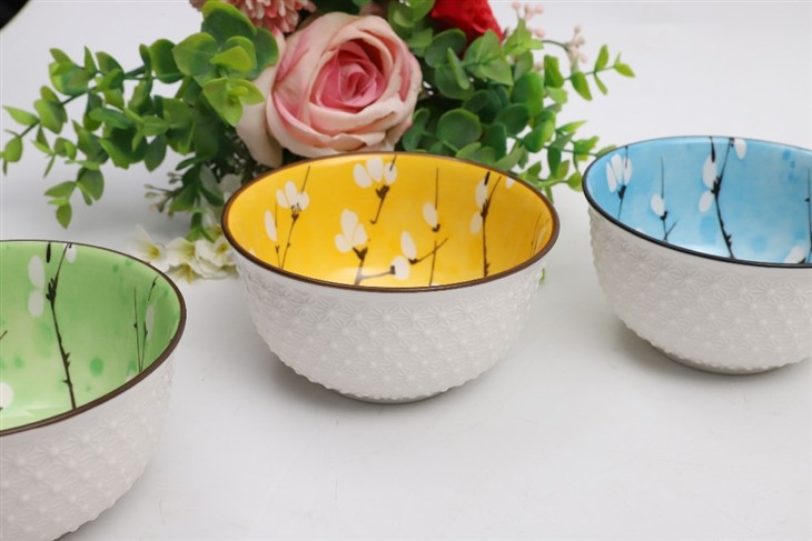 Colorful Ceramic Salad Bowl