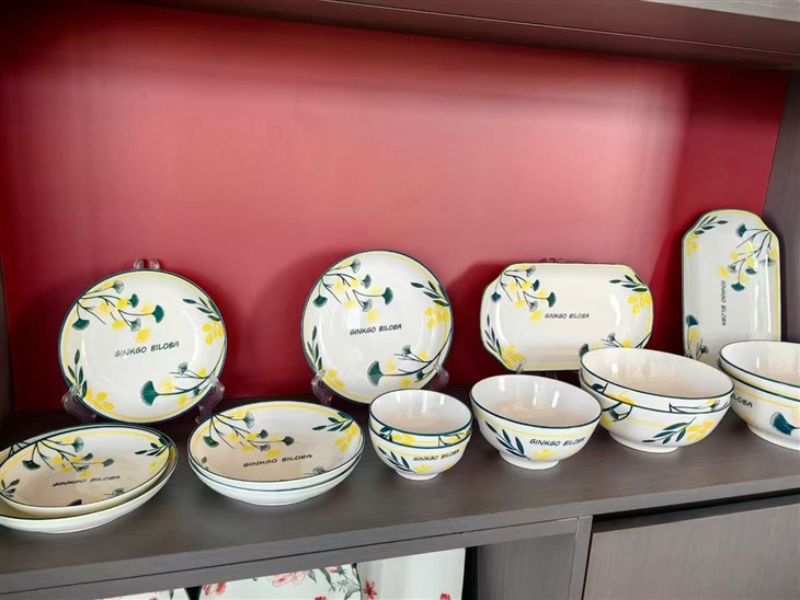 High Quanlity Beautiful Ceramic Tableware Set